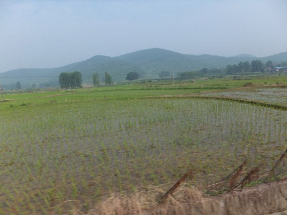 园林基地风光